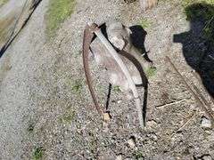 Approx 1900 Wheel Push Cultivator/ Garden Plow & scythe