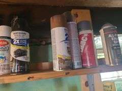 Partial Bottles Of Bug Killer, Paint, Nails, Screws, And Nuts