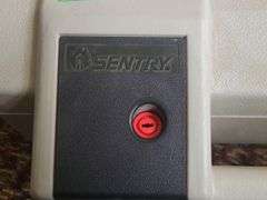 Sentry Fire Box With Key