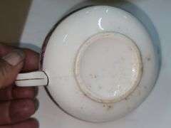 Thompson Normandie 1835 Dishware, One Box, Some Minir Chipping, 36pcs