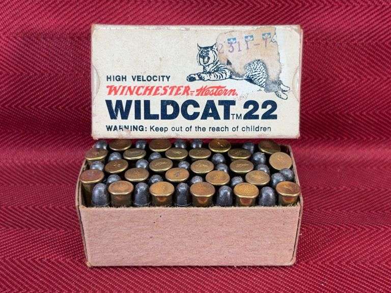 50 RD Box Winchester Western Wildcat 22 LR-40 gr-LRN