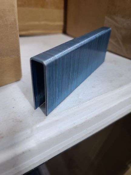 Plastic Bin of Staples, Approx. 1/2in x 1-3/4in