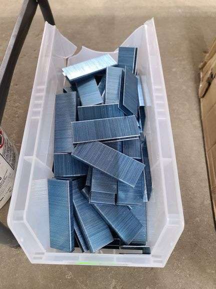 Plastic Bin of Staples, Approx. 1/2in x 1-3/4in
