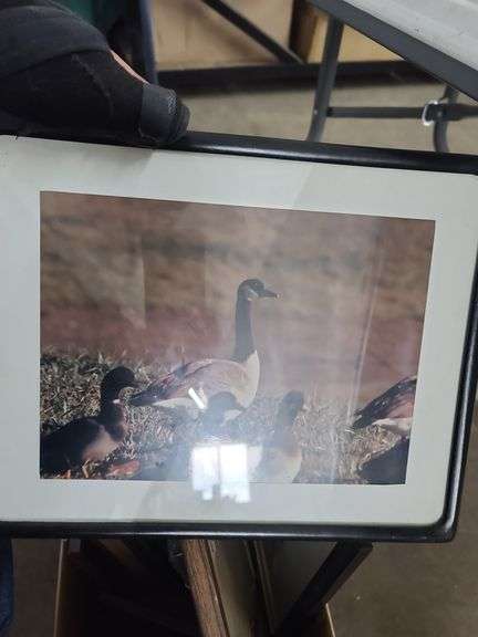 Box of Picture Frames, Approx 17