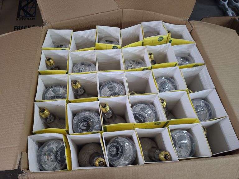 Box of Approx. 60 Incandescent Lamp Light Bulbs (Untested)