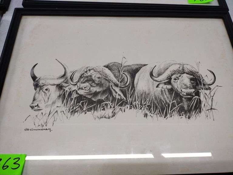 12"x17" Framed Pencil Sketch by GB Cunningham - Water Buffalo