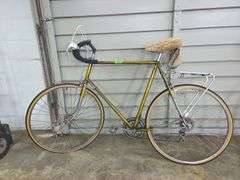 Raleigh 10 Speed Bike