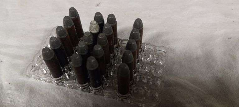 20 rnds 22 WRF
