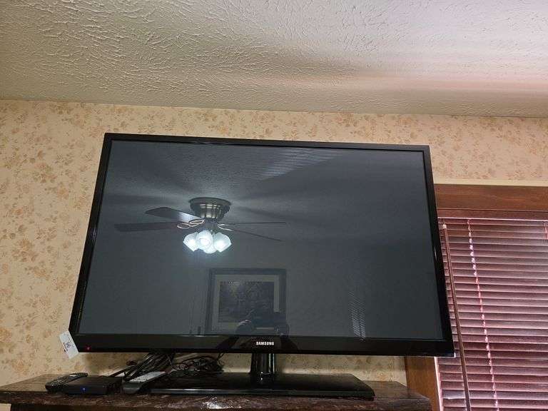 Samsung  Flat Screen TV (Works) Approx 44"
