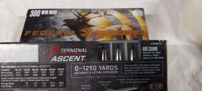 2-20 rnd box 300 Win Mag 200gr