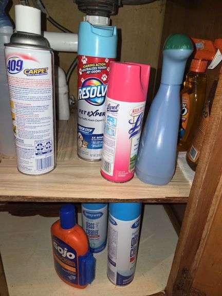 Partial Bottles of Cleaning Items & Brushes