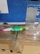 Custom painted Bandit Walleye Lure