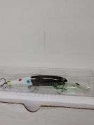 Custom Hand Painted Fishing Lure