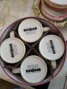 Sakura Classico Stoneware-Set of 8 Mugs & Set of 4 Salad/Dessert Plates