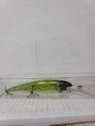 Custom Hand Painted Fishing Lure
