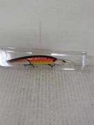 Custom Hand Painted Fishing Lure