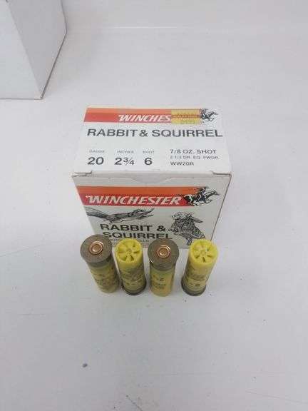 4rnds Winchester 20ga 6shot