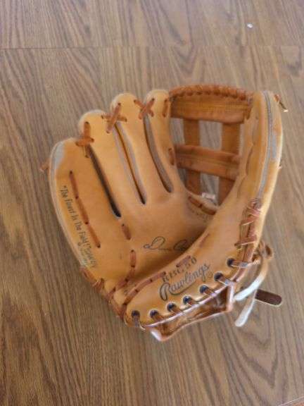 Rawlings RBG50 Left Hand Glove