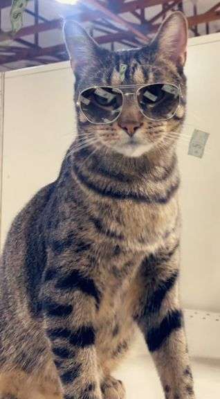 Captain Paul Calendar