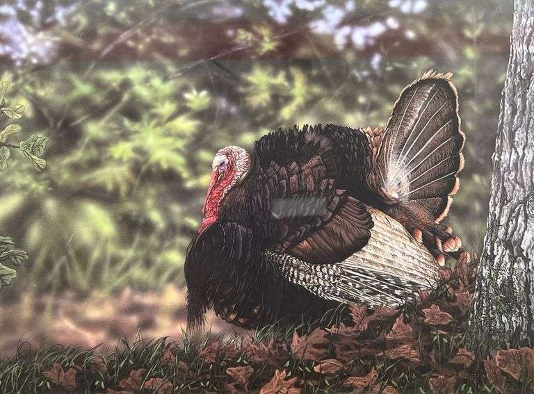 Eddie Leroy Signed, Numbered Limited Edition Turkey Print
