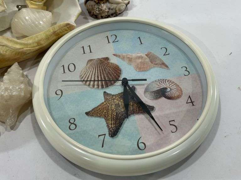 Collection of Seashells in Vases & Seashell Decorations