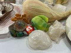 Collection of Seashells in Vases & Seashell Decorations