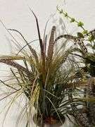 (4) Faux Potted Plants w/ Turkey Feathers