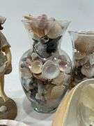 Collection of Seashells in Vases & Seashell Decorations