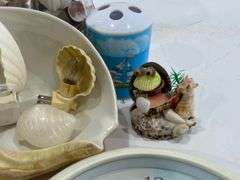 Collection of Seashells in Vases & Seashell Decorations