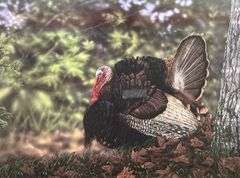 Eddie Leroy Signed, Numbered Limited Edition Turkey Print