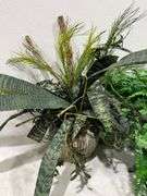 (4) Faux Potted Plants