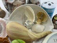 Collection of Seashells in Vases & Seashell Decorations