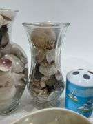 Collection of Seashells in Vases & Seashell Decorations
