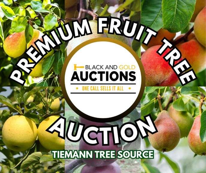 Premium Fruit Tree Auction 