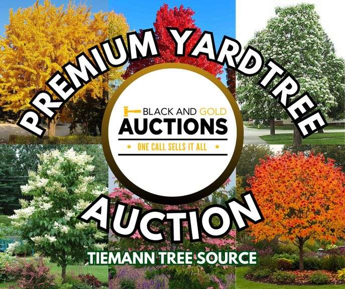Premium Yard Tree Auction 