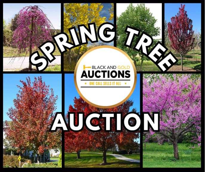 Spring Tree Auction