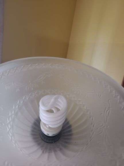 Floor Lamp with Frosted Glass Shade