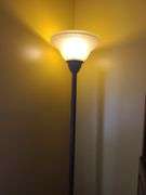 Floor Lamp with Frosted Glass Shade