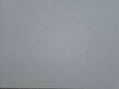 20ft Expandable Container House