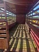Calico Gooseneck Cattle Trailer