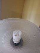 Floor Lamp with Frosted Glass Shade