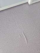 20ft Expandable Container House