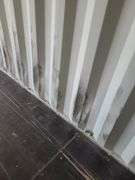 40ft Shipping Container