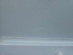 20ft Expandable Container House