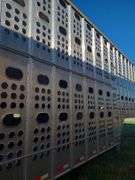 2019 Merritt Cattle Trailer