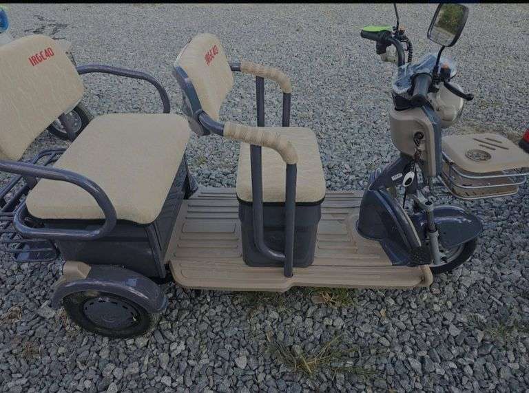 High-End Mini Electric Golf Cart