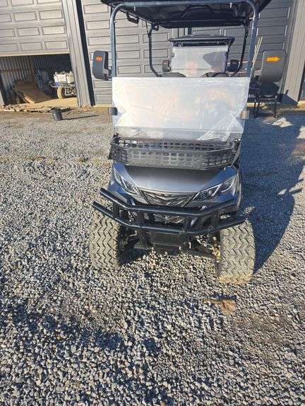 Electric Golf Cart