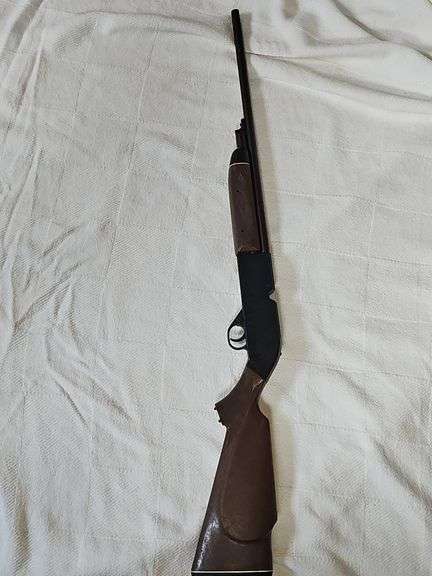 66 Power Master Pellet Gun