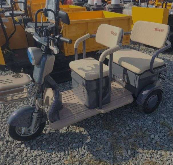 High-End Mini Electric Golf Cart