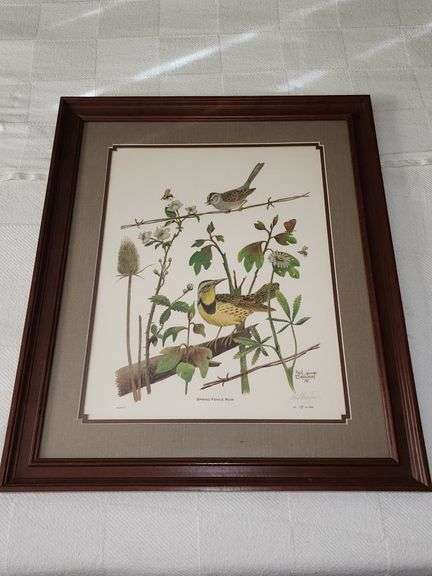 Paul Overstreet Framed animal prints